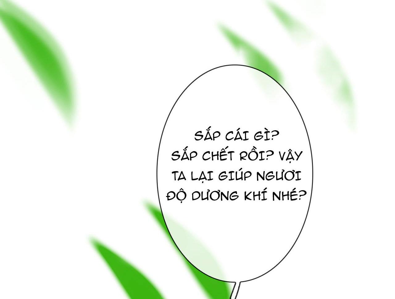 Hạnh Lâm Phương Hoa Chapter 4 - Next Chapter 5