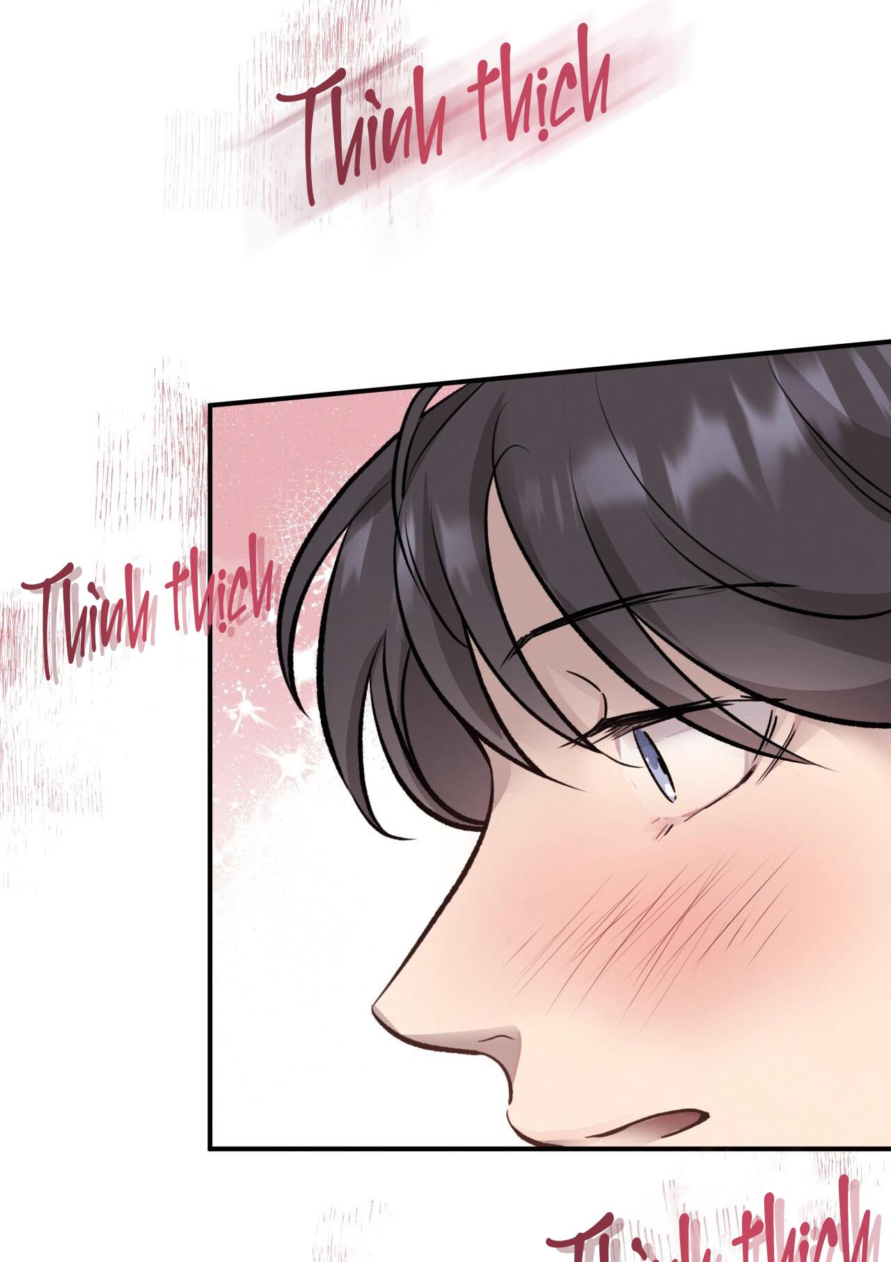 (END) MẬT GẤU Chapter 15 - Next Chapter 16
