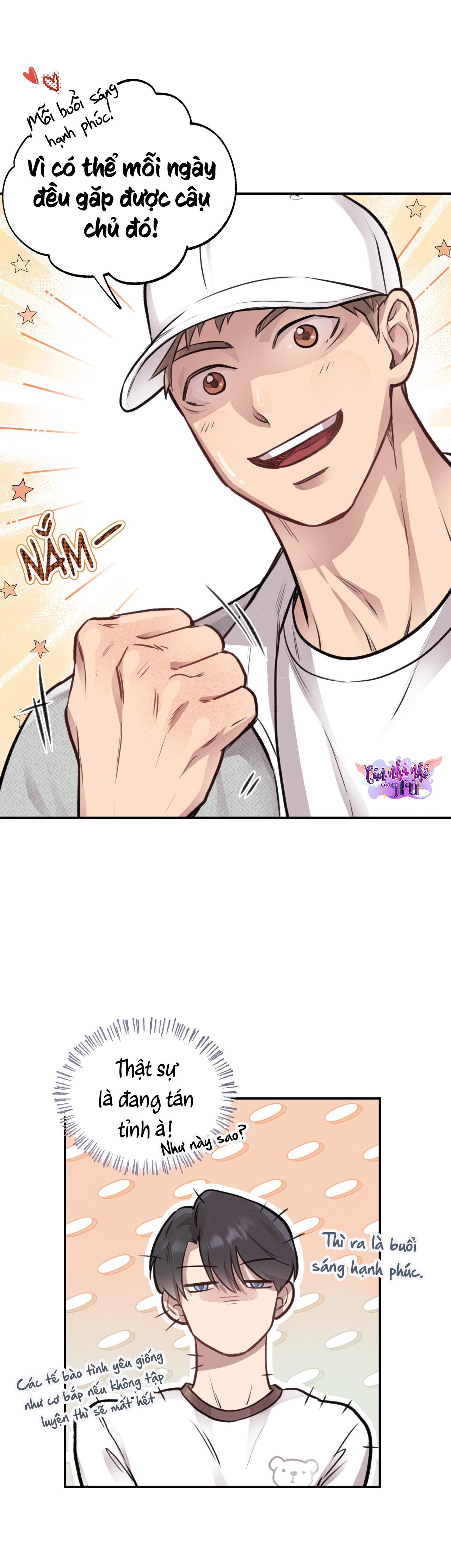 (END) MẬT GẤU Chapter 11 - Next Chapter 12