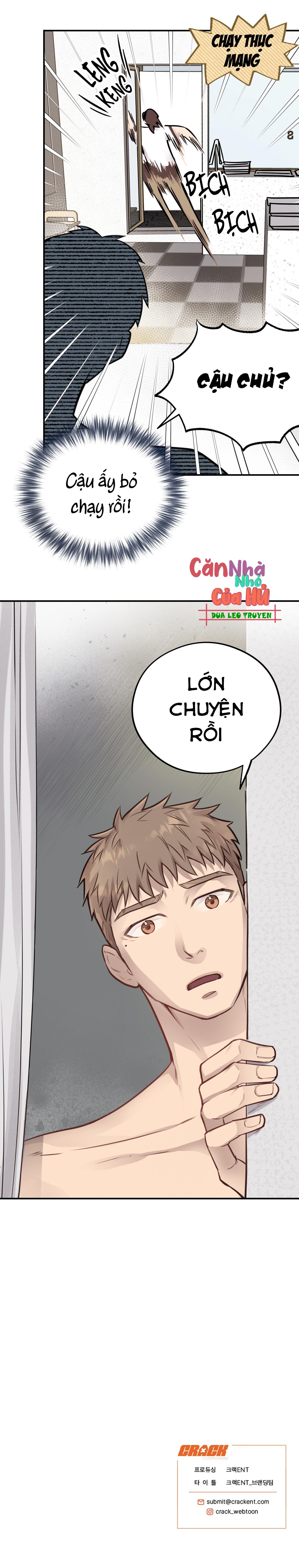 (END) MẬT GẤU Chapter 8 - Next Chapter 9