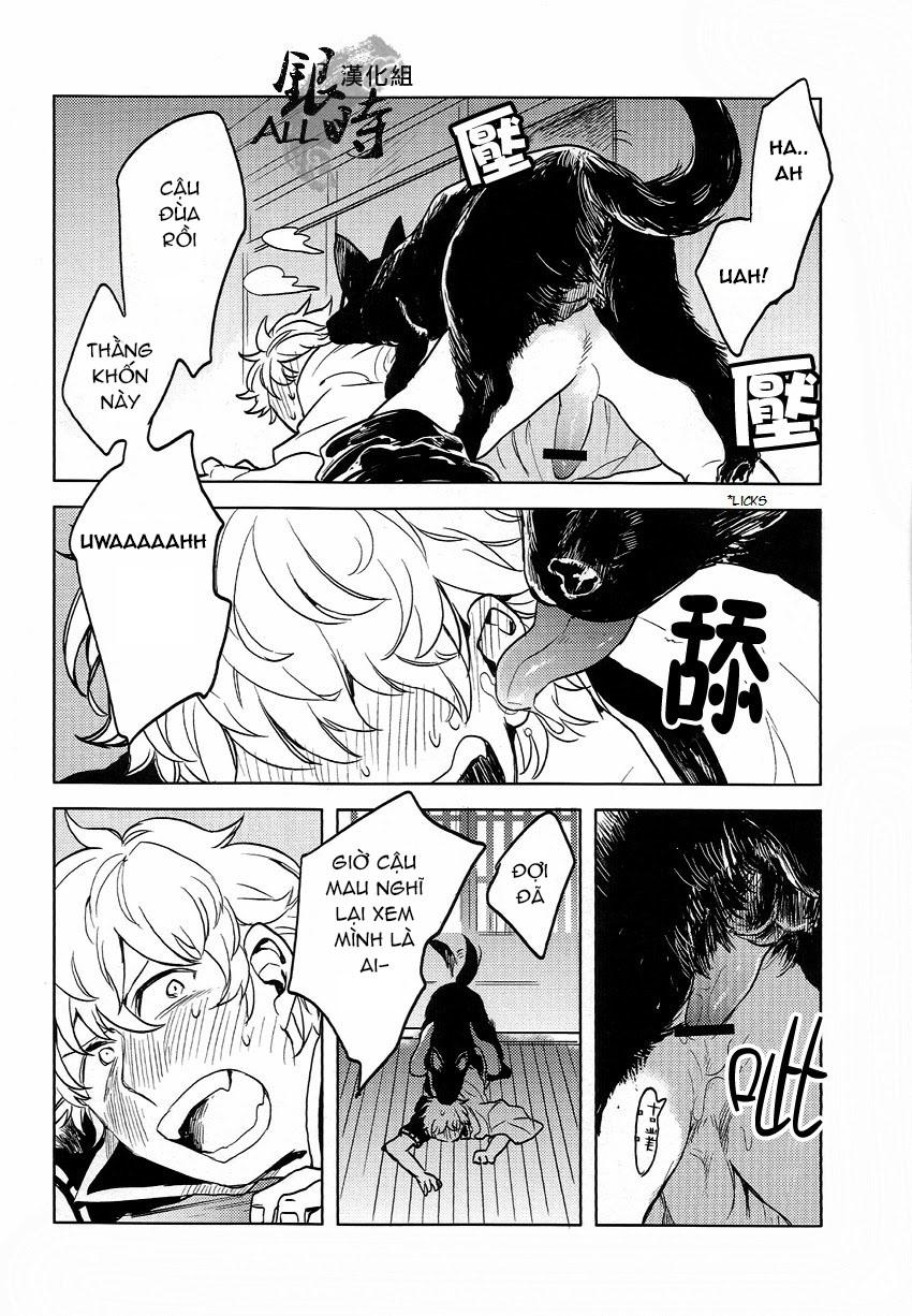 Doujinshi Tổng Hợp Chapter 331 - Next 