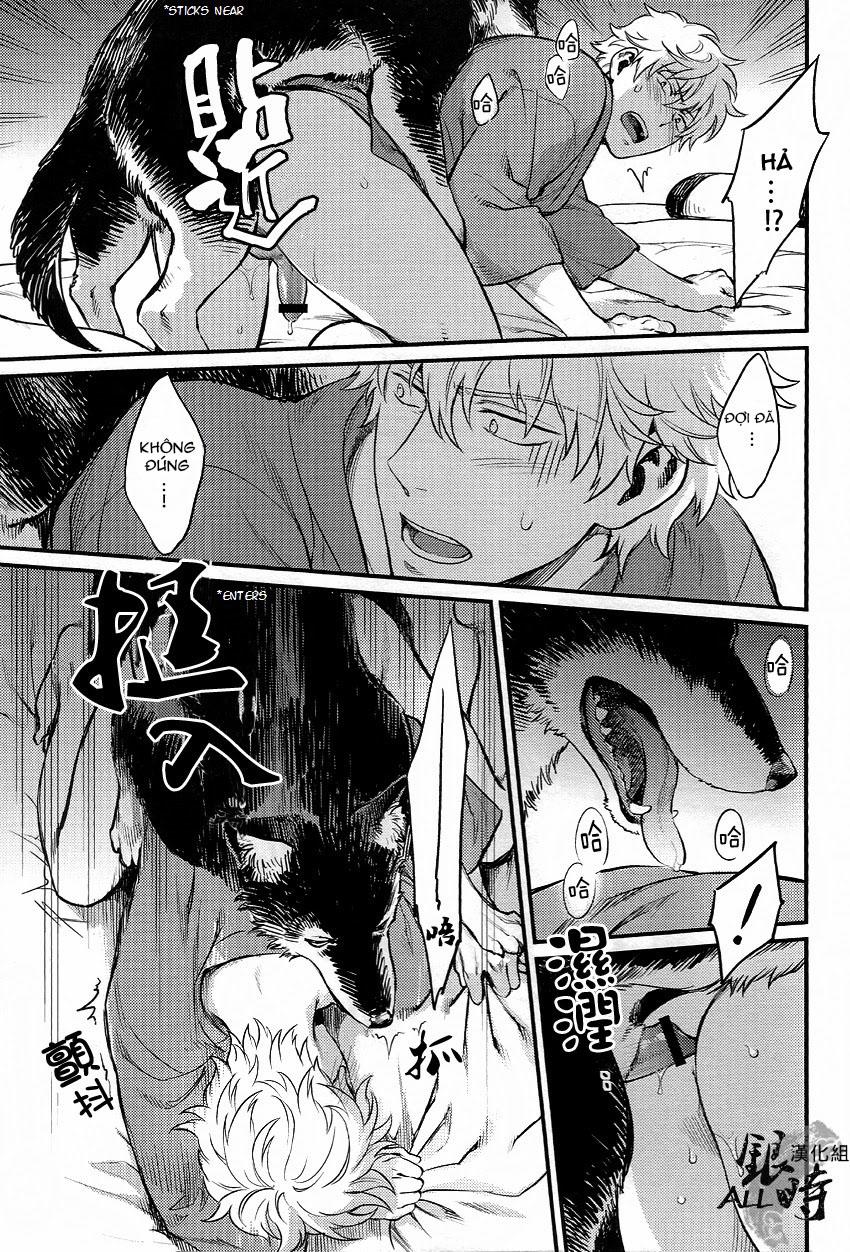 Doujinshi Tổng Hợp Chapter 331 - Next 