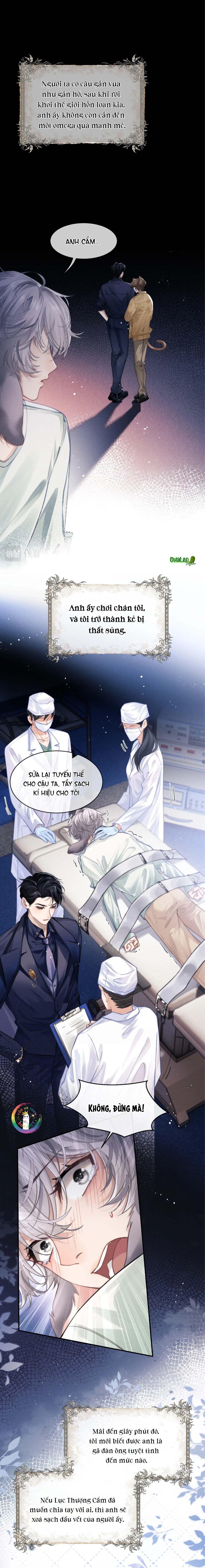 Chấp Sự Thỏ Tai Cụp Chapter 2 - Next Chapter 3