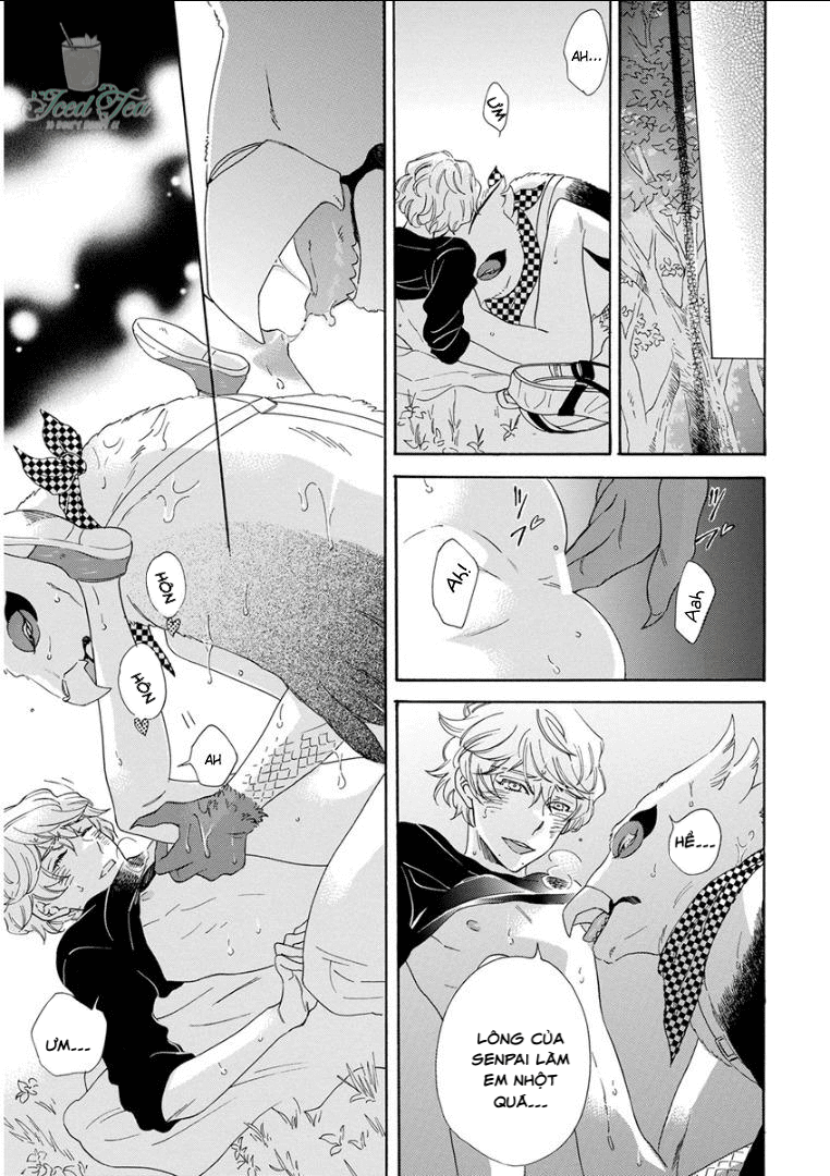 Tiền bối, Cái Kén và Tôi Chapter 1 End - Next 