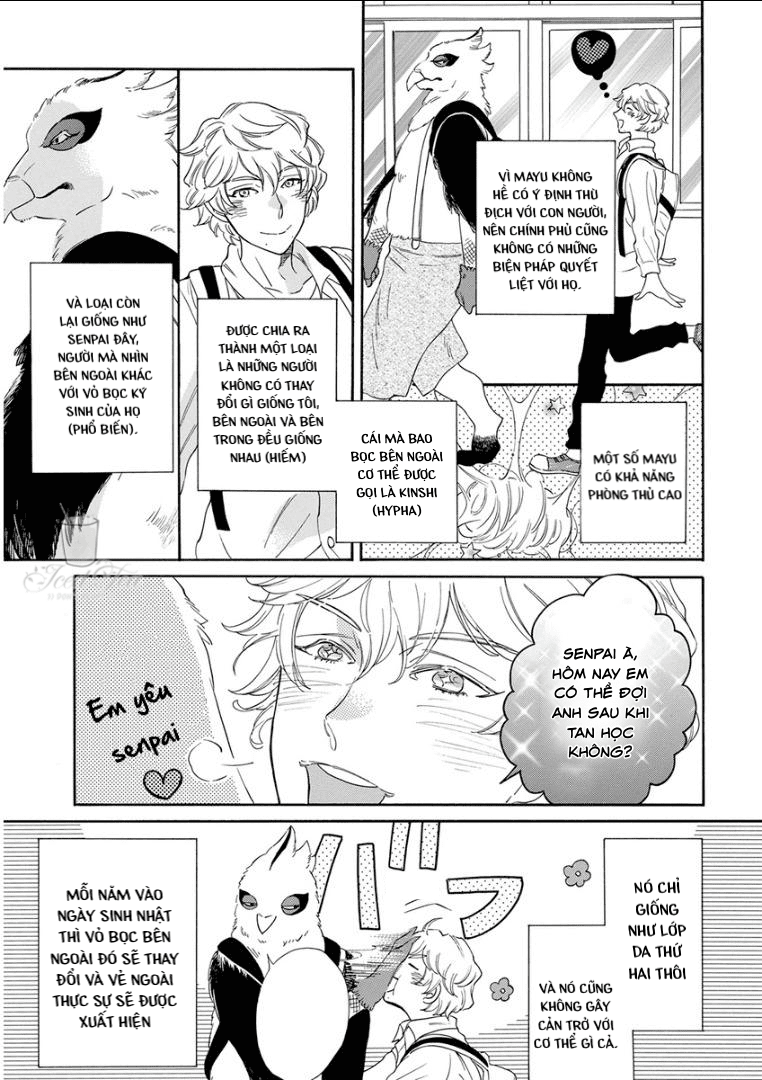 Tiền bối, Cái Kén và Tôi Chapter 1 End - Next 
