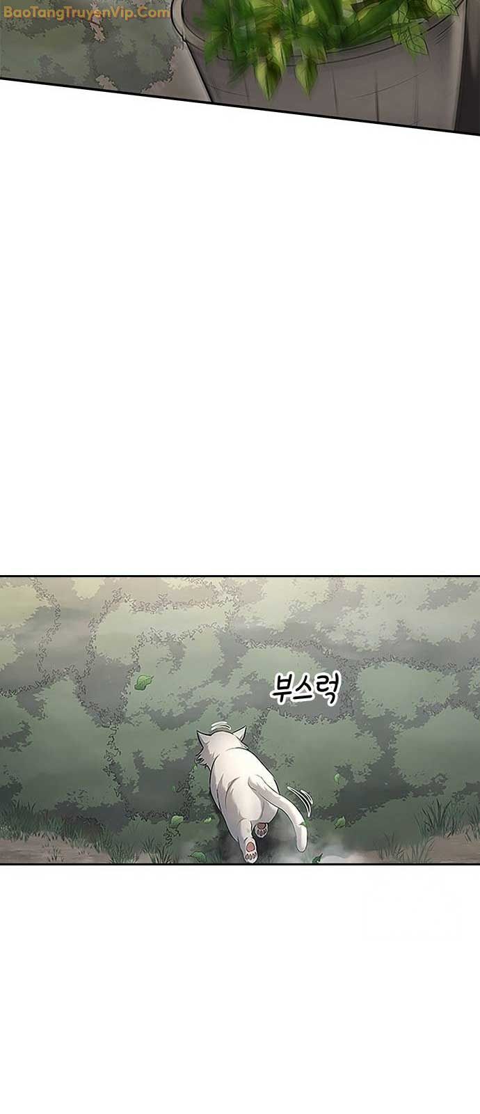 Thiên Trung Long Môn Chapter 9 - Trang 3