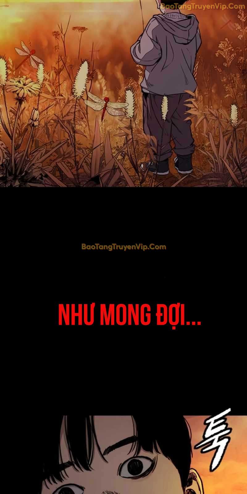Thể Thao Cực Hạn Chapter 539 - Trang 4