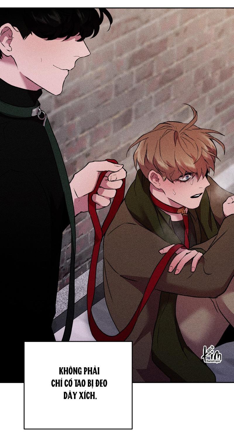 NỖI SỢ CỦA HWAN YEONG Chapter 37 - Next Chapter 38