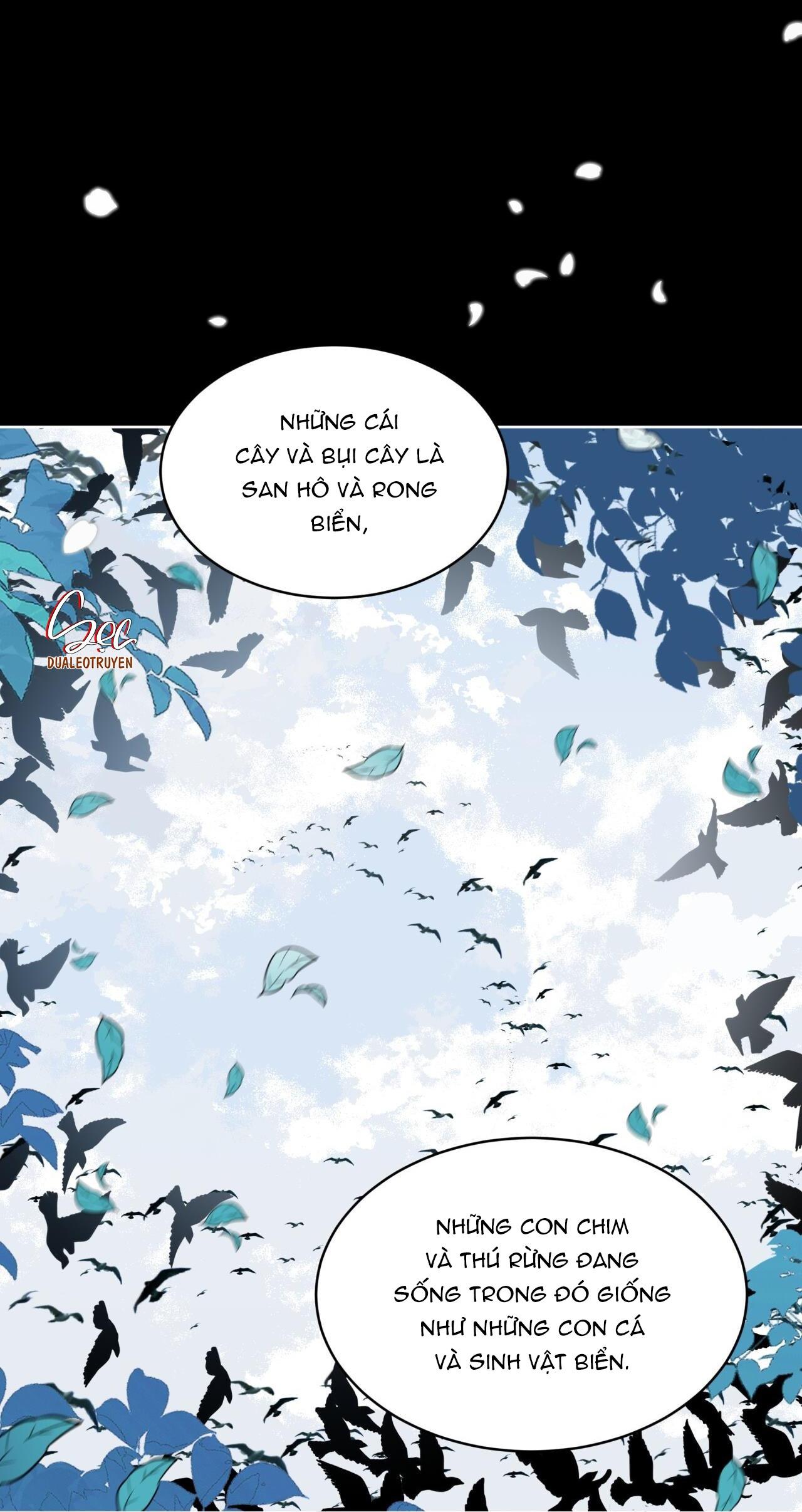 Rừng Biển Chapter 44 - Next Chapter 45