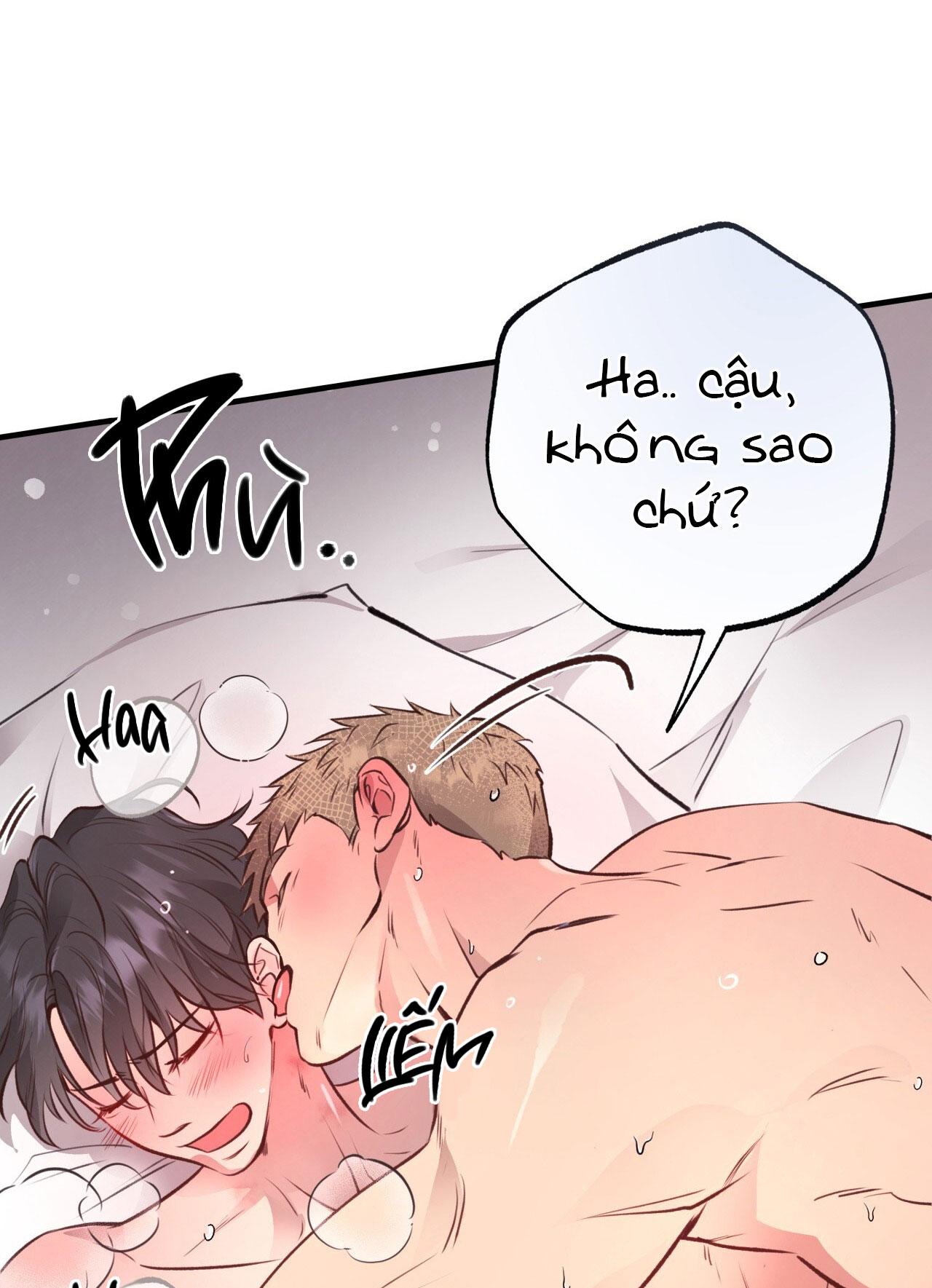 mật gấu Chapter 28 - Next Chương 29