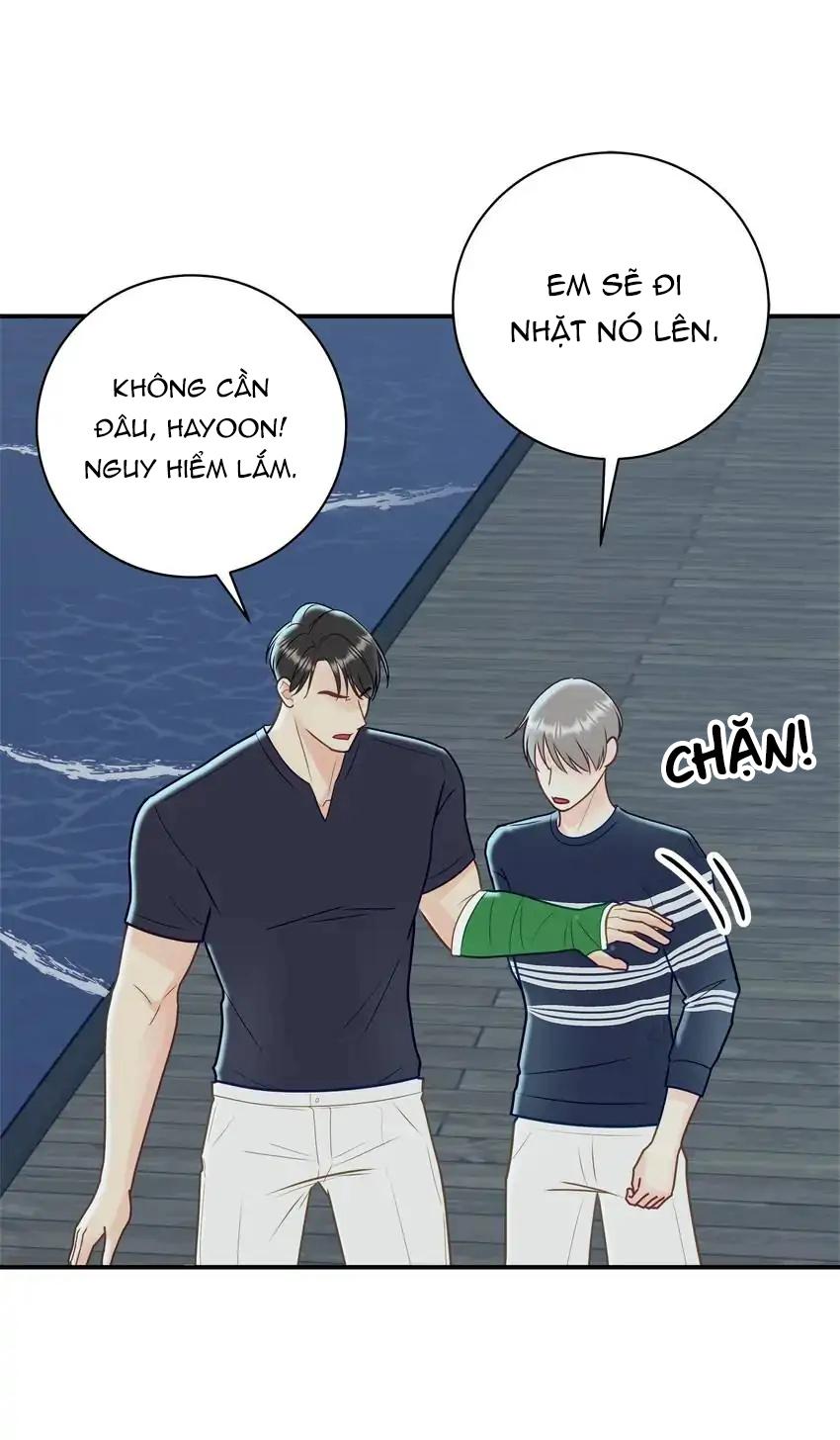 Hạnh Phúc Trọn Vẹn Chapter 38 - Next Chapter 39