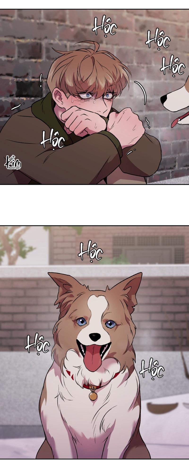 NỖI SỢ CỦA HWAN YEONG Chapter 37 - Next Chapter 38
