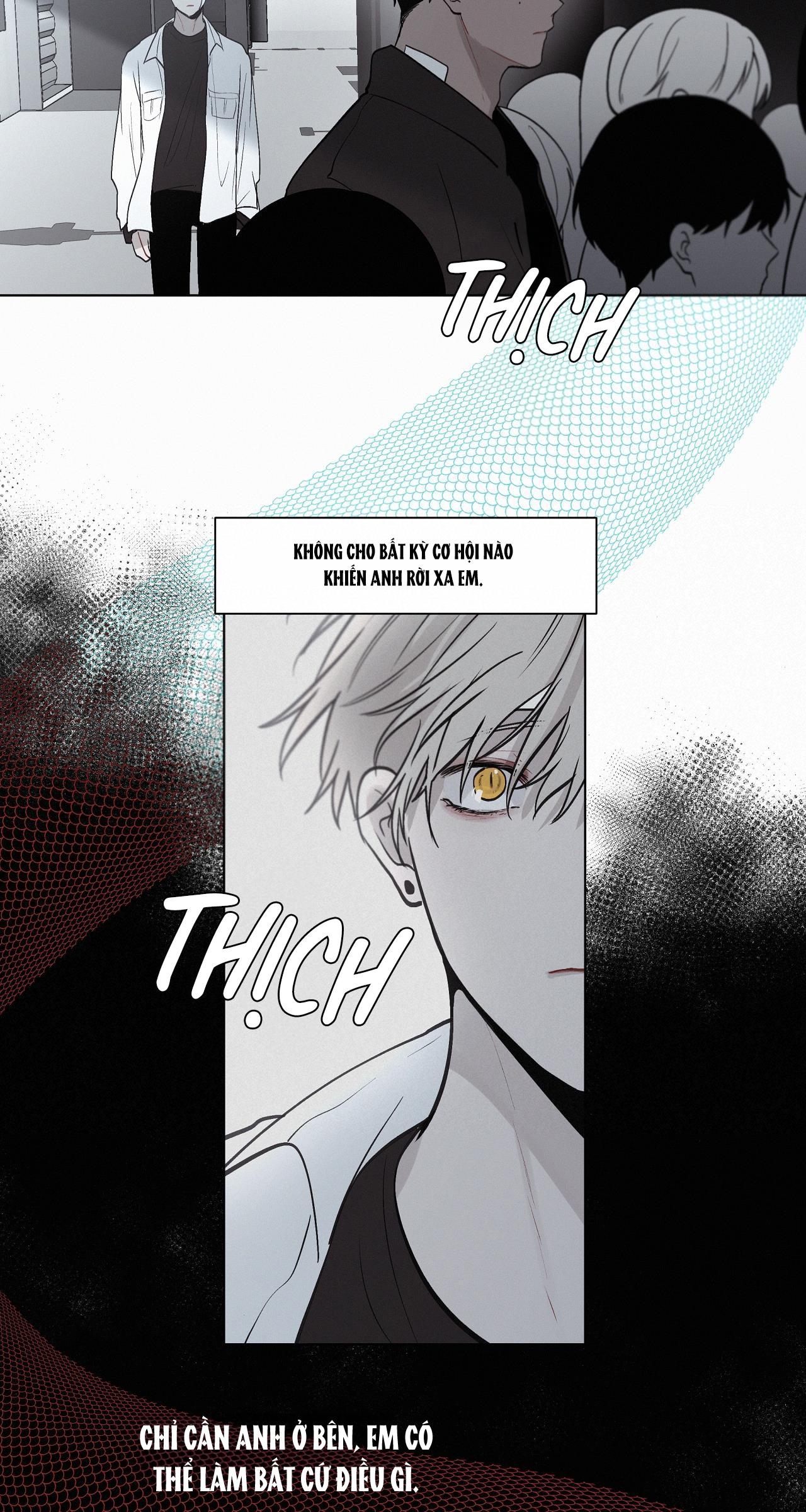 Hiến tế máu Chapter 49 - Next Chapter 50