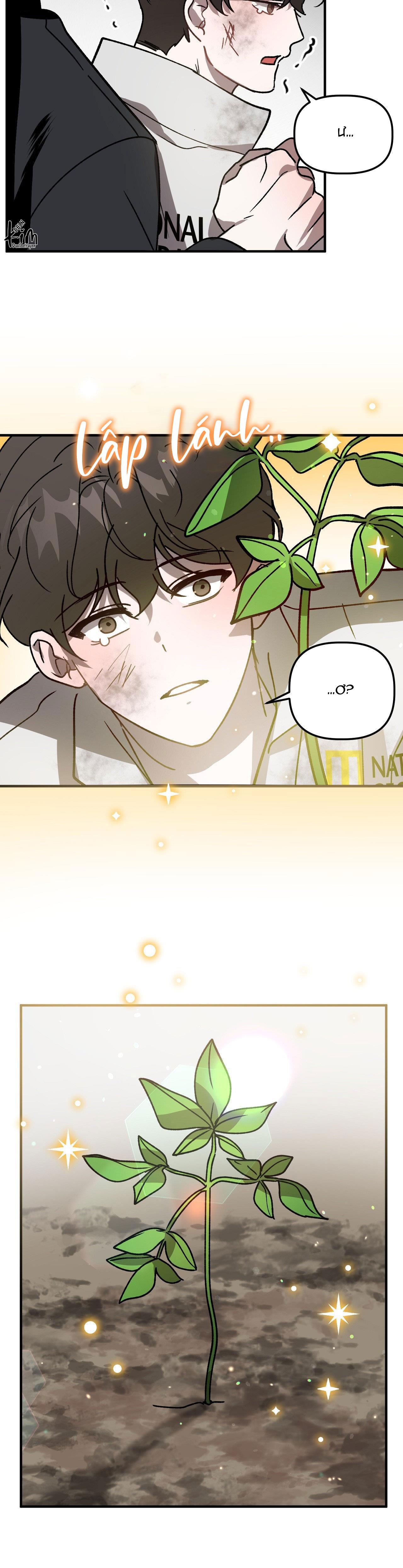 ĐÃ HIỂU CHƯA Chapter 51 - Next Chapter 52