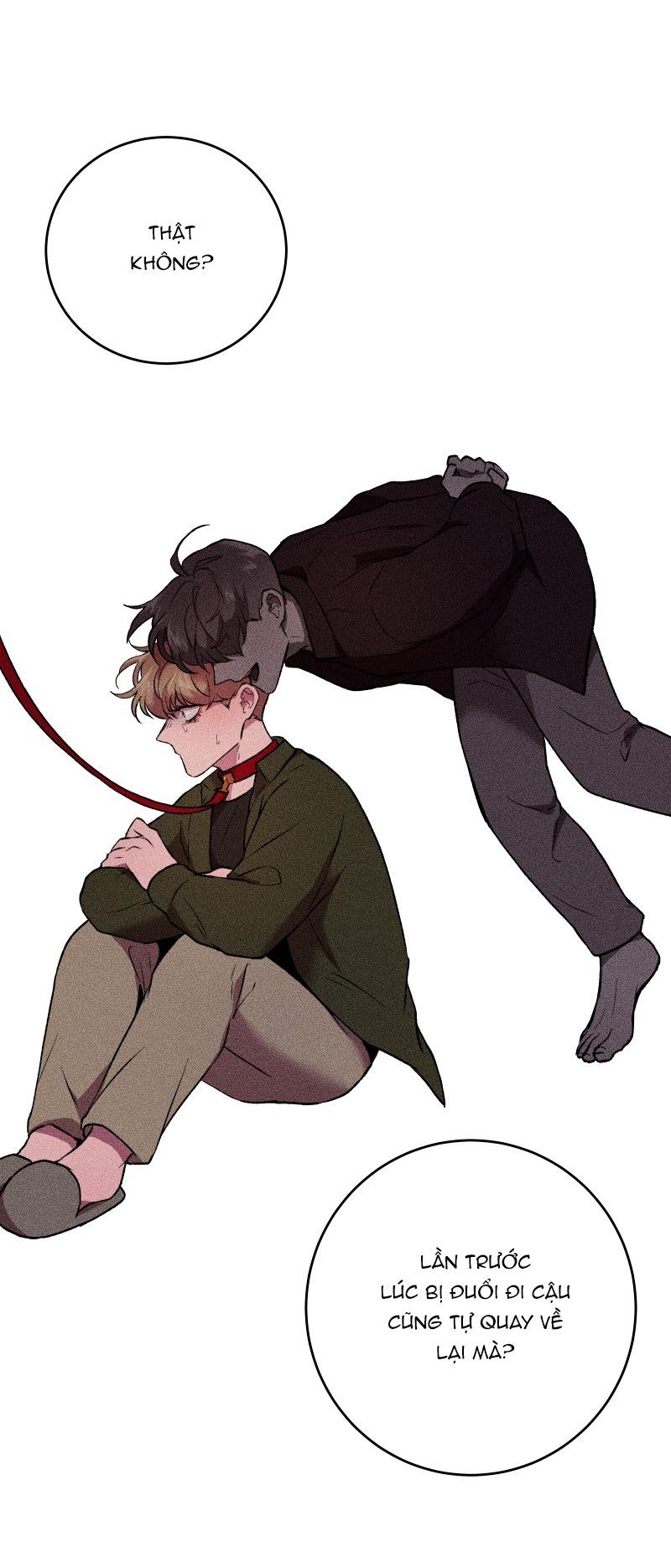 NỖI SỢ CỦA HWAN YEONG Chapter 37 - Next Chapter 38