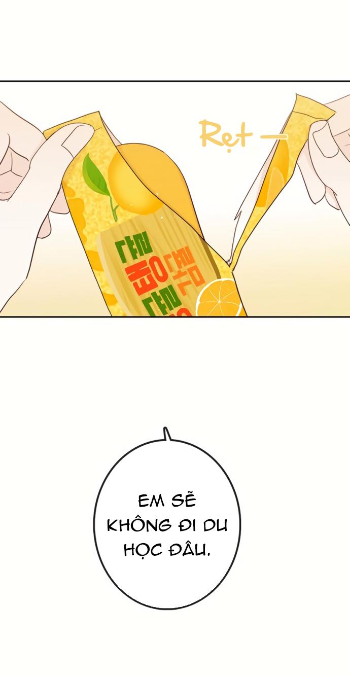 Thiên Đường Táo Xanh Chapter 81 - Next Chapter 82