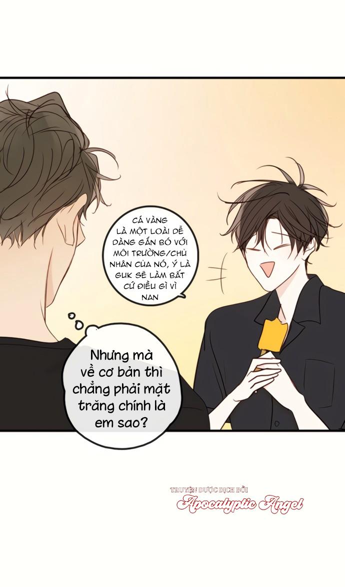 Thiên Đường Táo Xanh Chapter 81 - Next Chapter 82