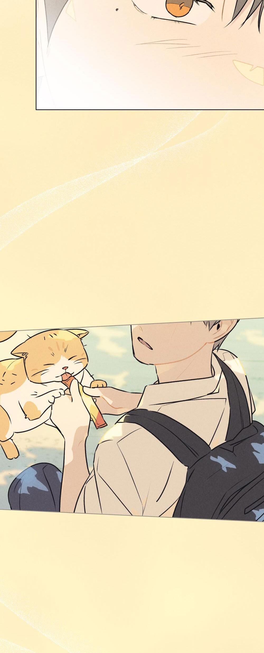 30 PHÚT TRƯỚC KHI TỎ TÌNH Chapter 22 - Next Chapter 23 END