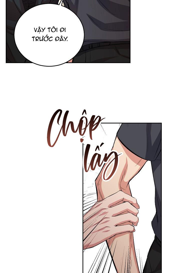 CHÓ VÀ CHIM Chapter 3 - Next Chapter 4