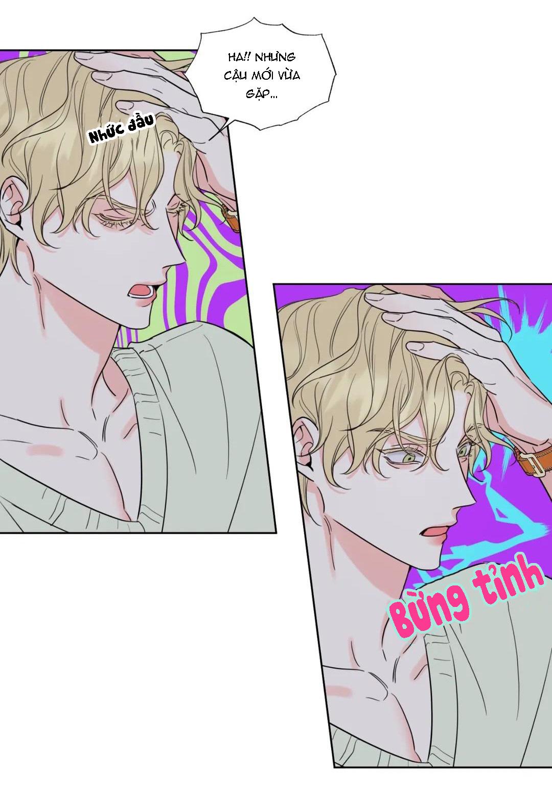 Rắc rối mật ngọt Chapter 3 - Next 