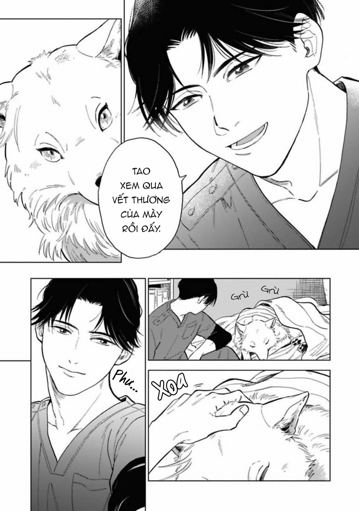 Lời Tỏ Tình Của Chú Sói Chapter 1 - Next Chapter 2