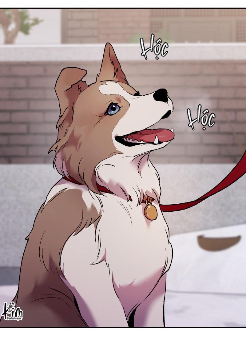 NỖI SỢ CỦA HWAN YEONG Chapter 37 - Next Chapter 38