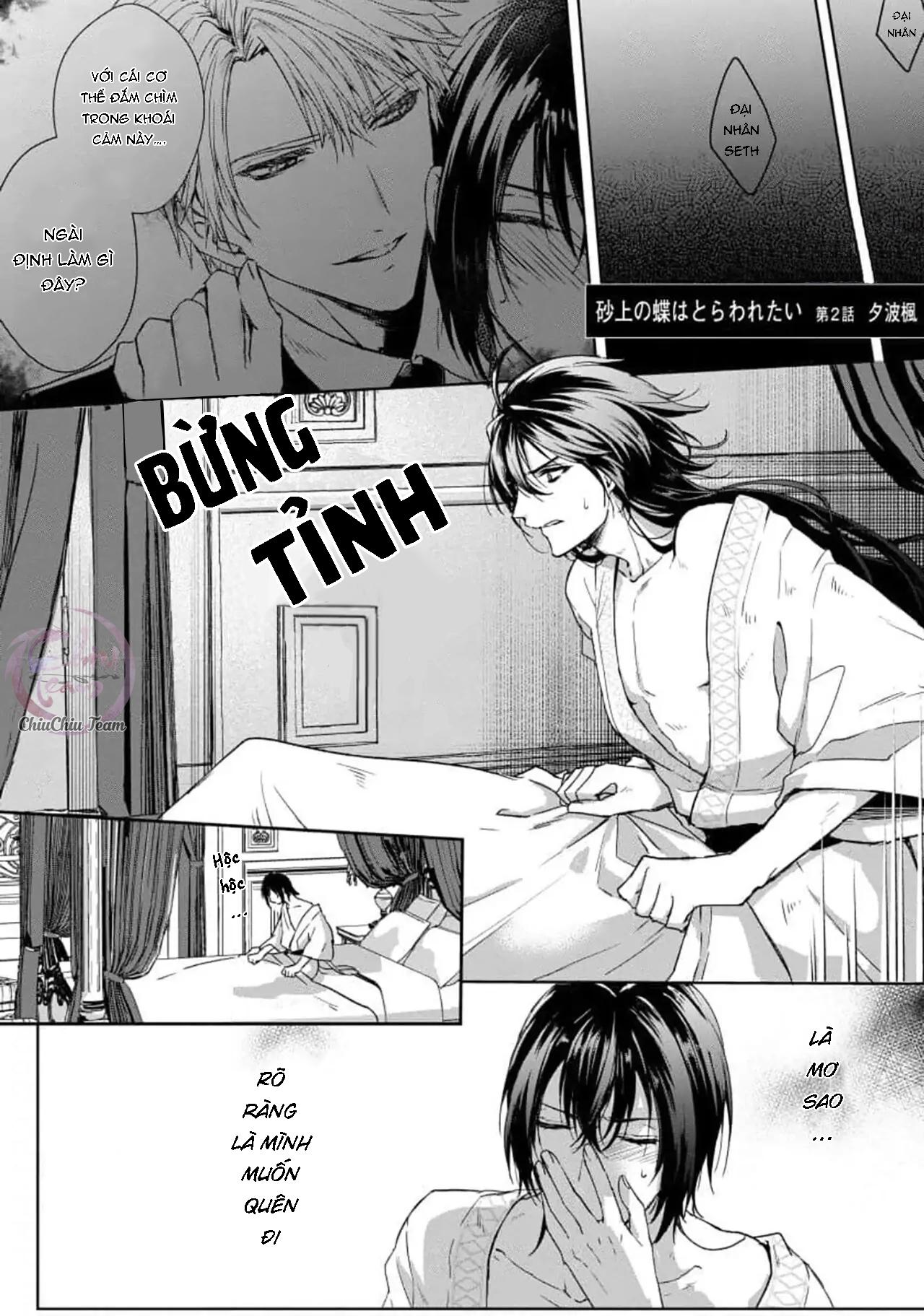 Bướm Trên Sa Mạc Khao Khát Bị Bắt Chapter 2 - Next Chapter 3