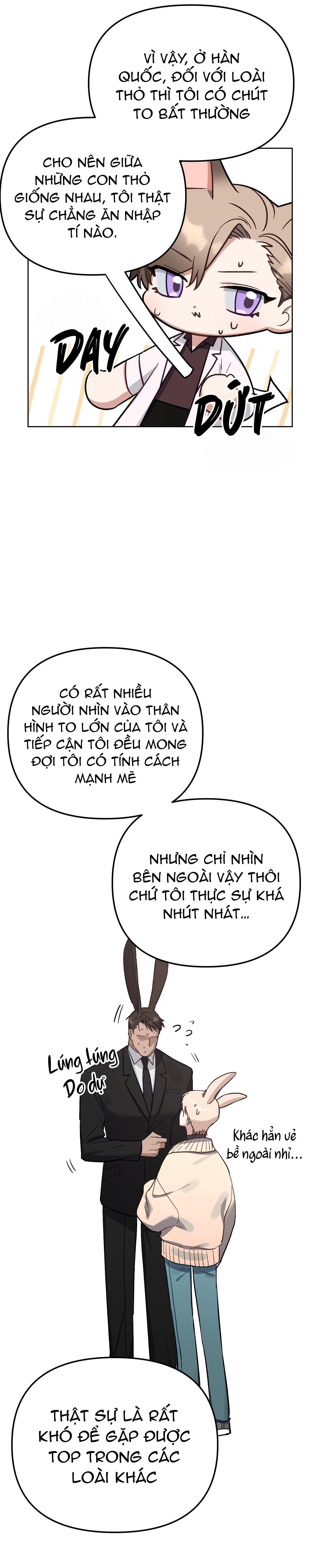 Chú thỏ chỉ cần 3 giây là xuất tinh Chapter 2 - Next Chapter 3