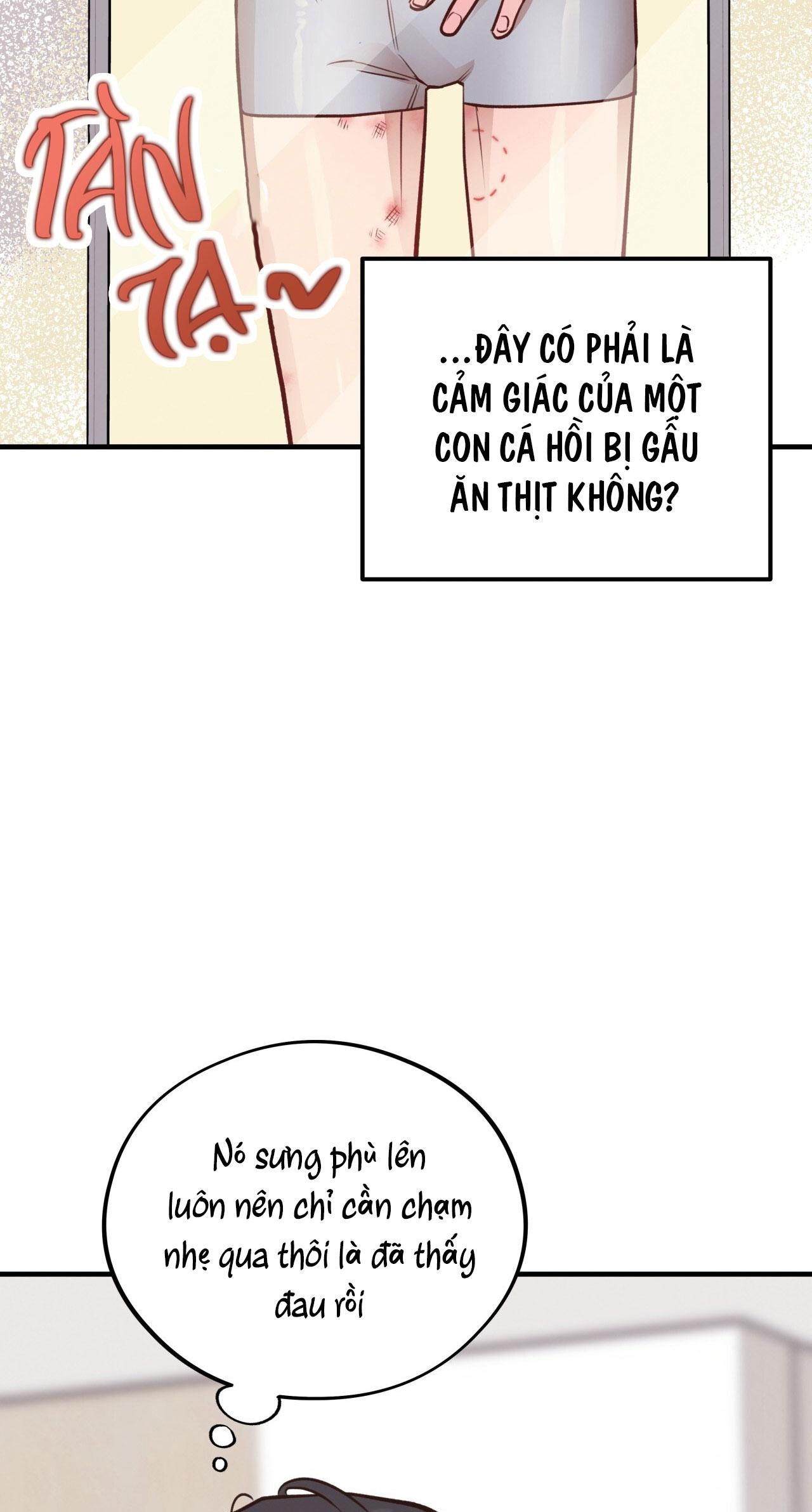 (END) MẬT GẤU Chapter 29 - Next Chapter 30 END SS1