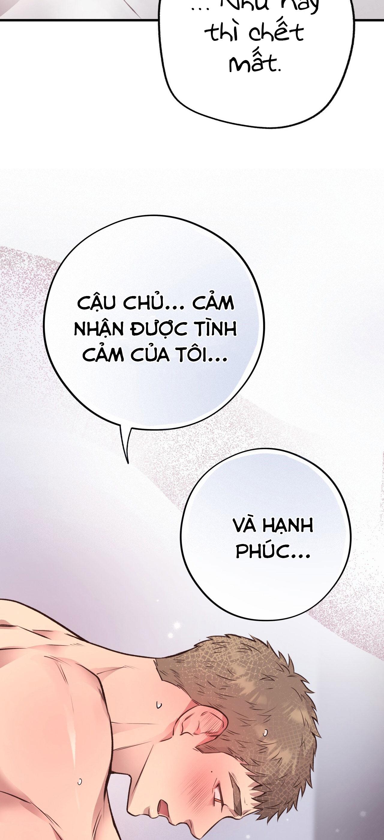 (END) MẬT GẤU Chapter 28 - Next Chapter 29