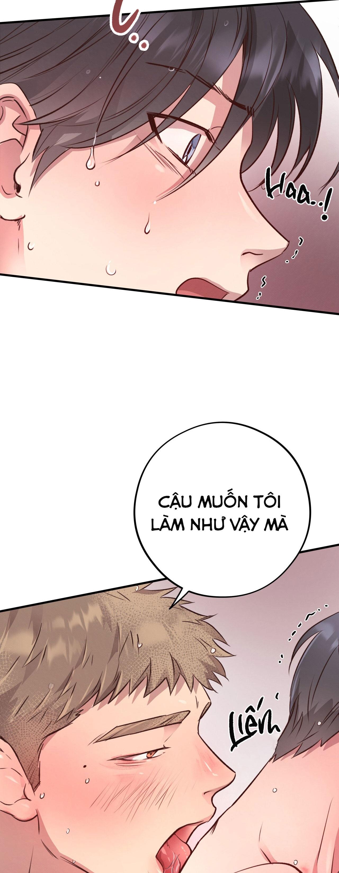 (END) MẬT GẤU Chapter 28 - Next Chapter 29