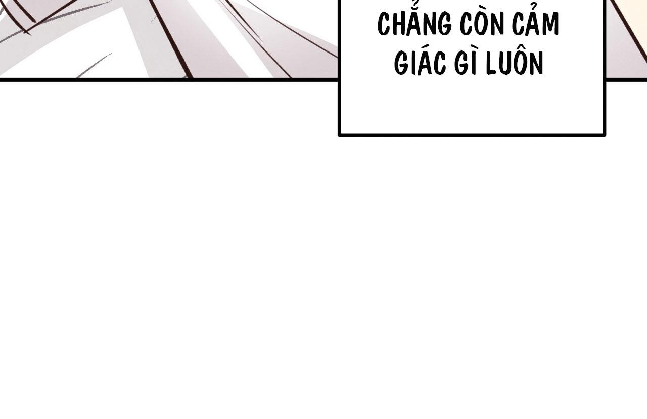 (END) MẬT GẤU Chapter 29 - Next Chapter 30 END SS1
