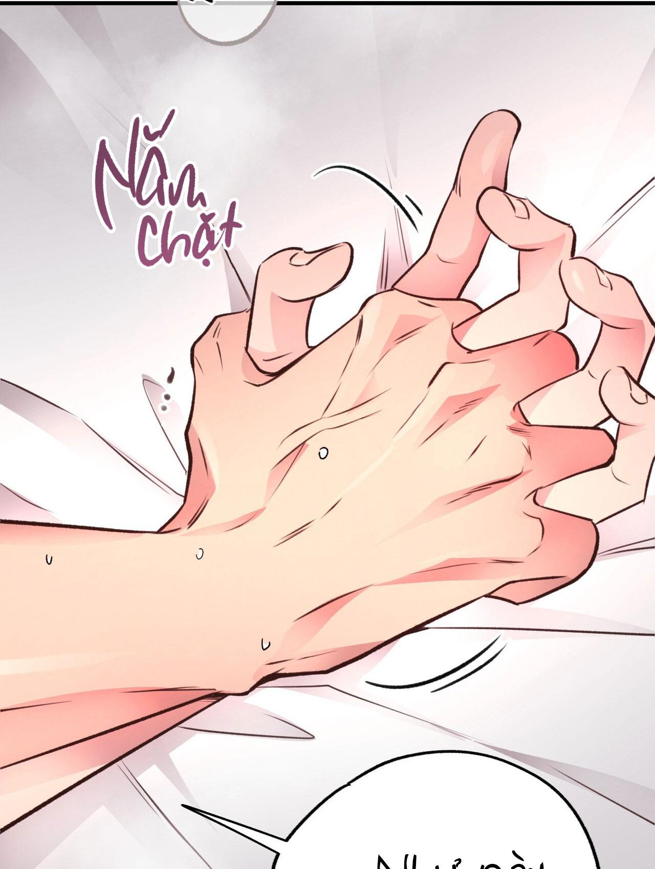 (END) MẬT GẤU Chapter 28 - Next Chapter 29
