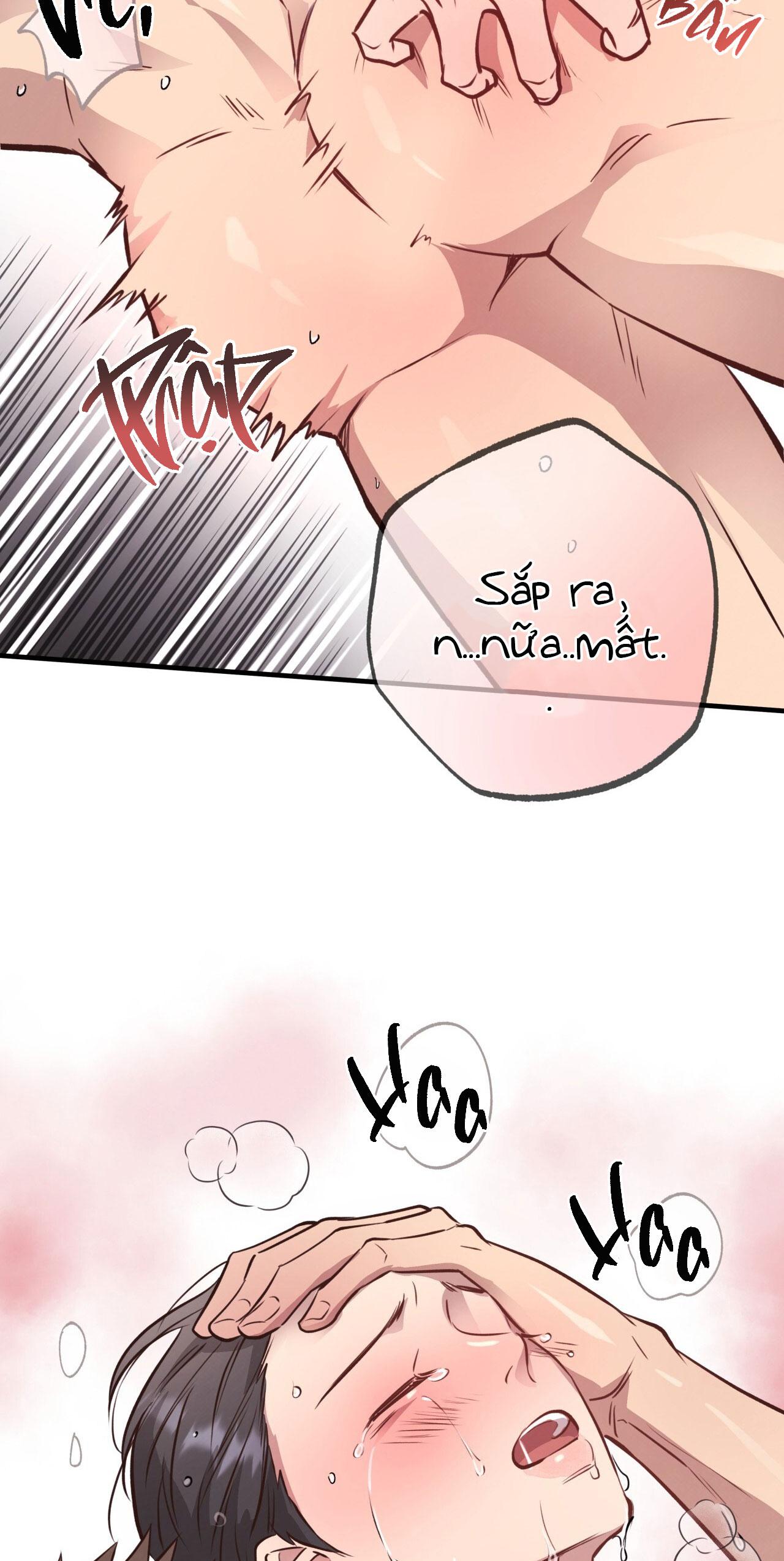 (END) MẬT GẤU Chapter 29 - Next Chapter 30 END SS1