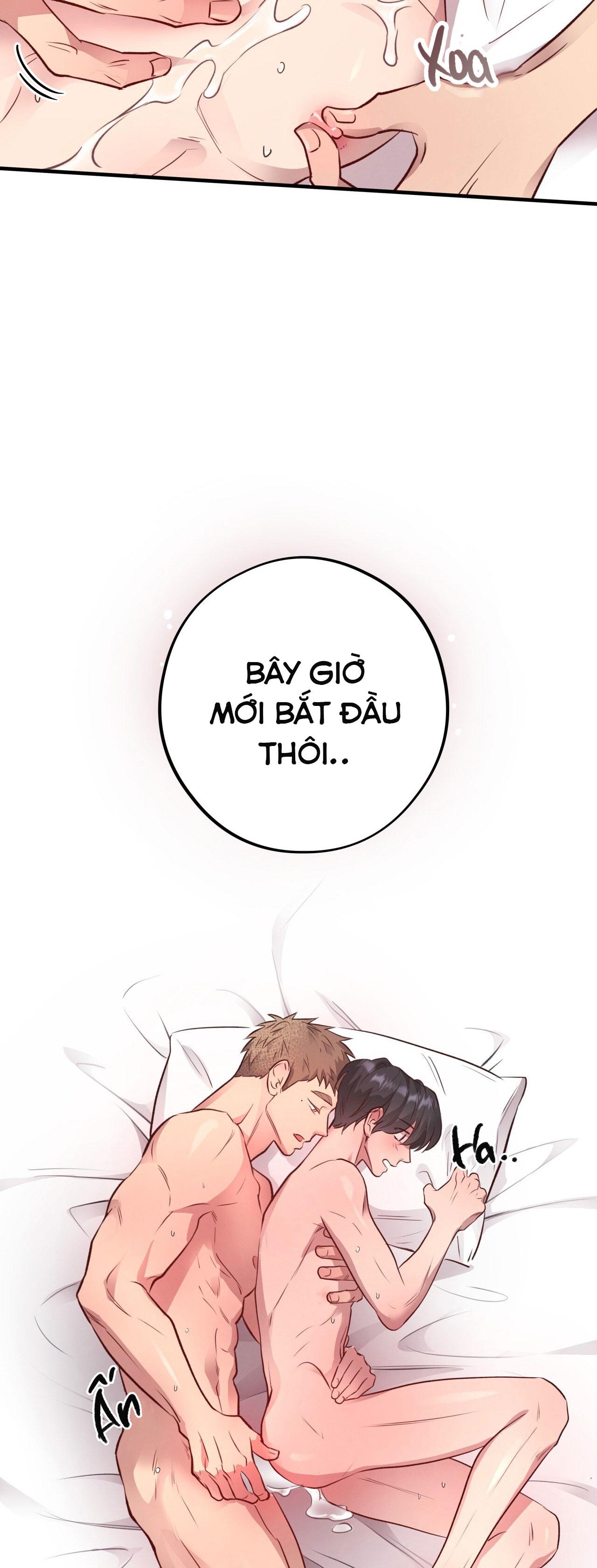 (END) MẬT GẤU Chapter 28 - Next Chapter 29