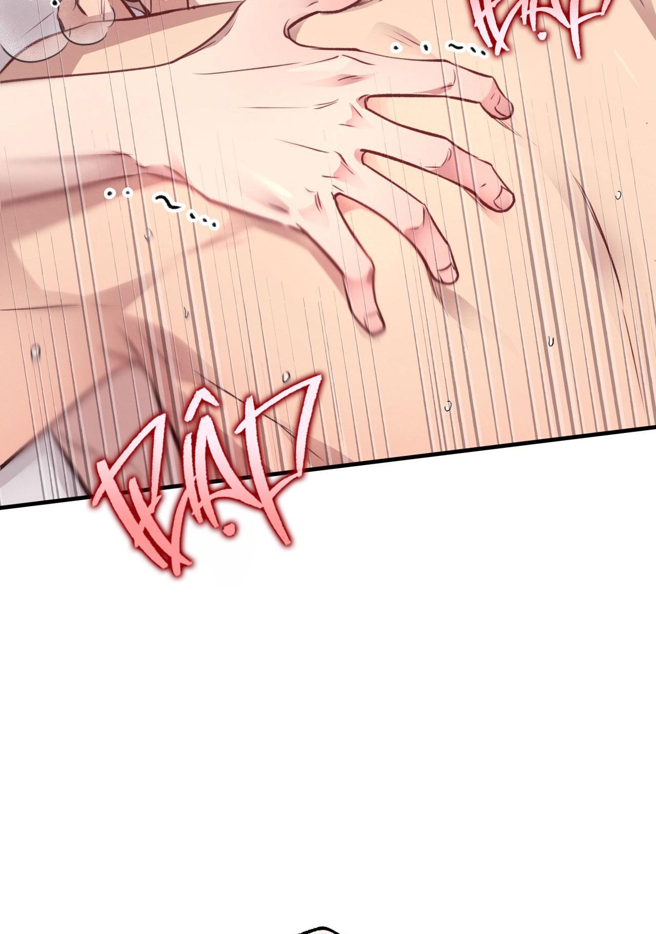 (END) MẬT GẤU Chapter 28 - Next Chapter 29