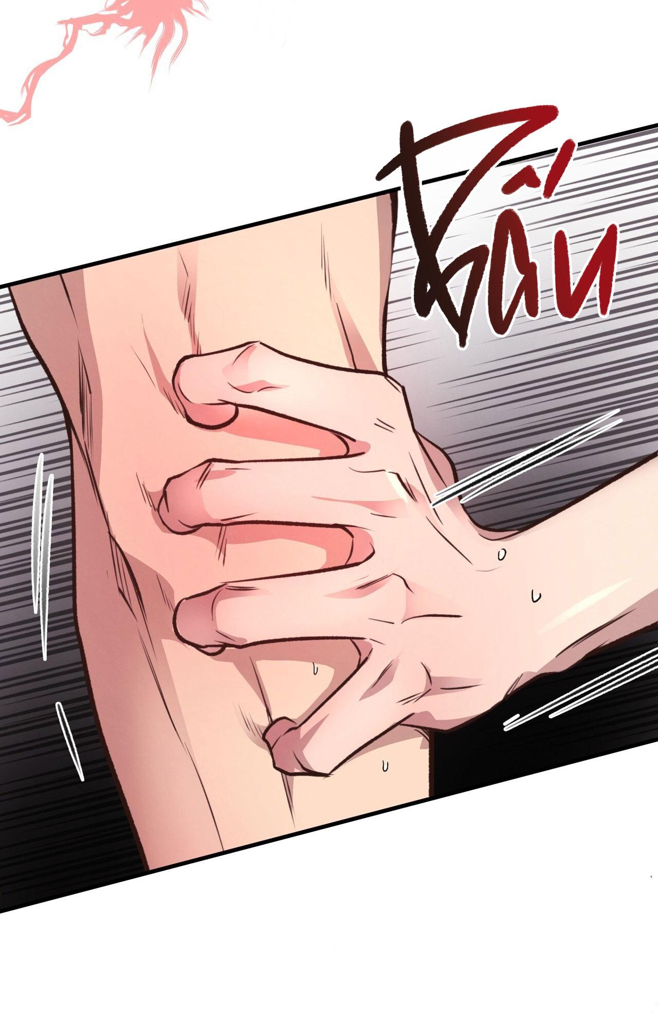 (END) MẬT GẤU Chapter 28 - Next Chapter 29
