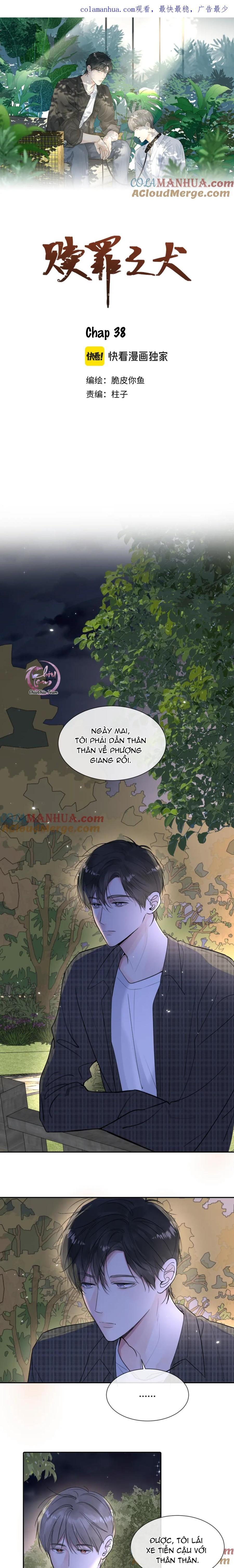 Chó Chuộc Tội Chapter 38 - Next Chapter 39