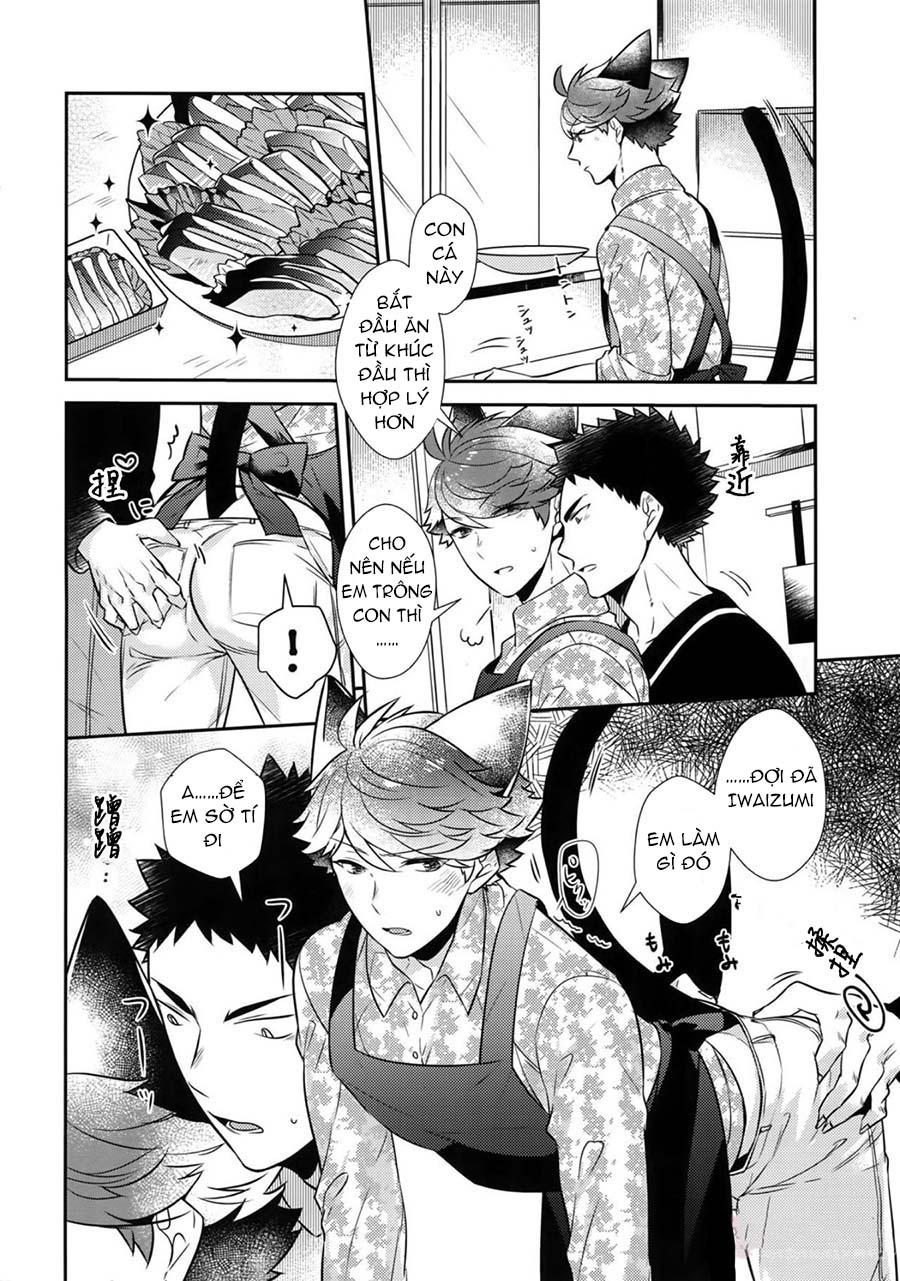 Ổ sìn OTP Chapter 211 IwaOi - Next Chapter 212 Amuro x Conan