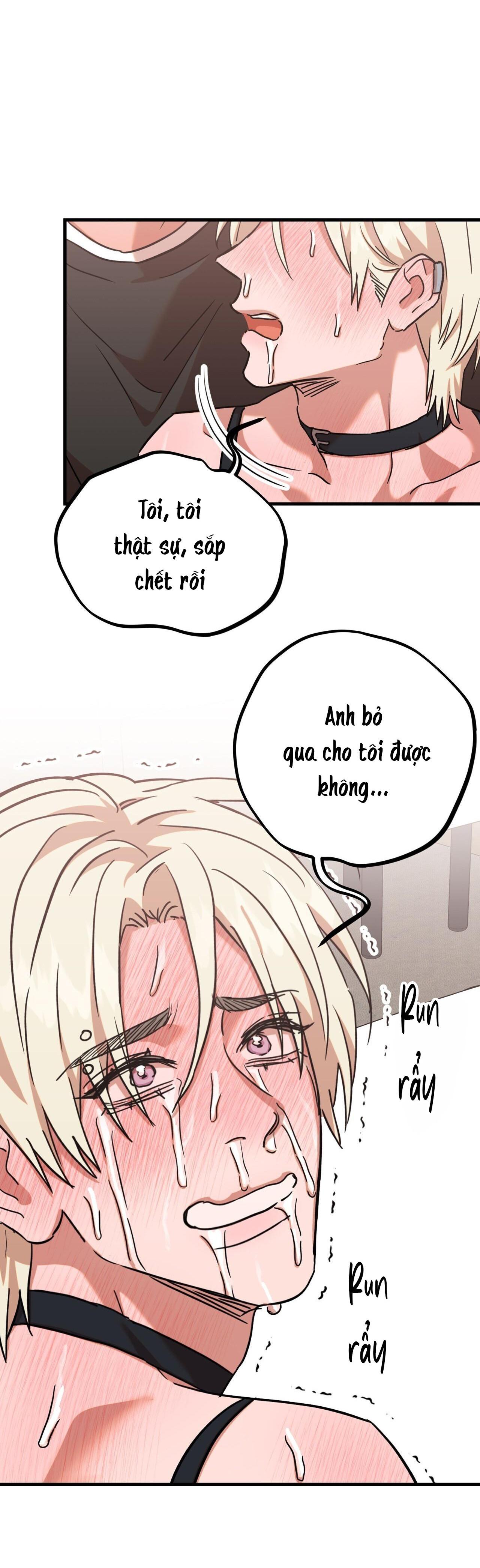 BẮT TẠI TRẬN Chapter 19 - Next 