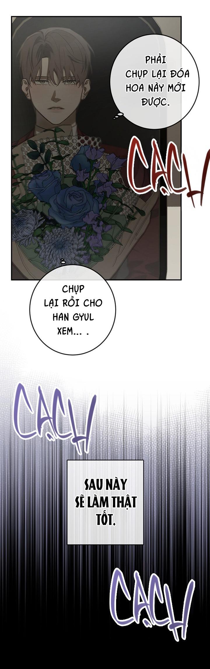 BẢO VẬT Chapter 29 - Next 