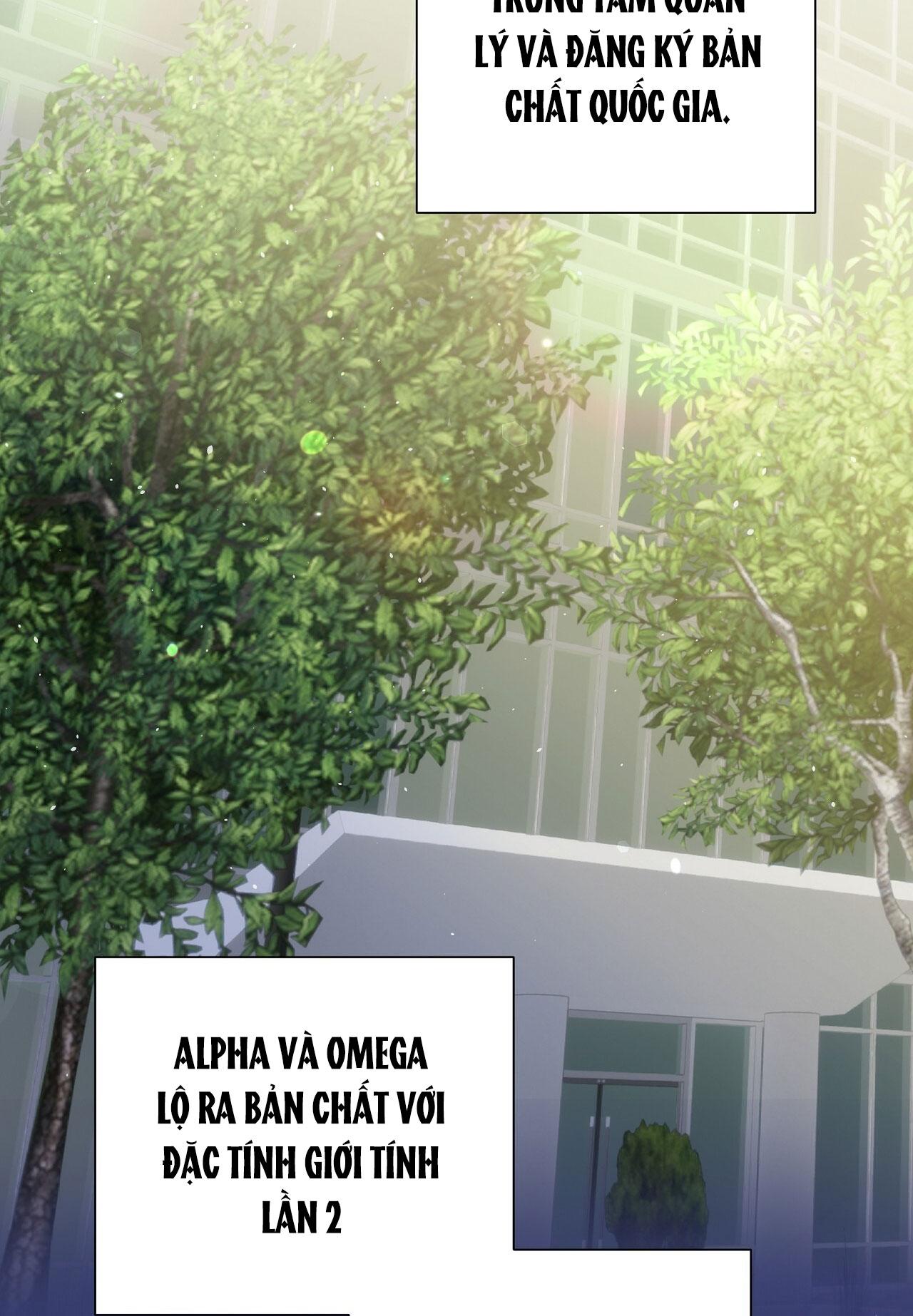 OMEGA HOÀN HẢO CỦA TÔI Chapter 9 - Next Chapter 10