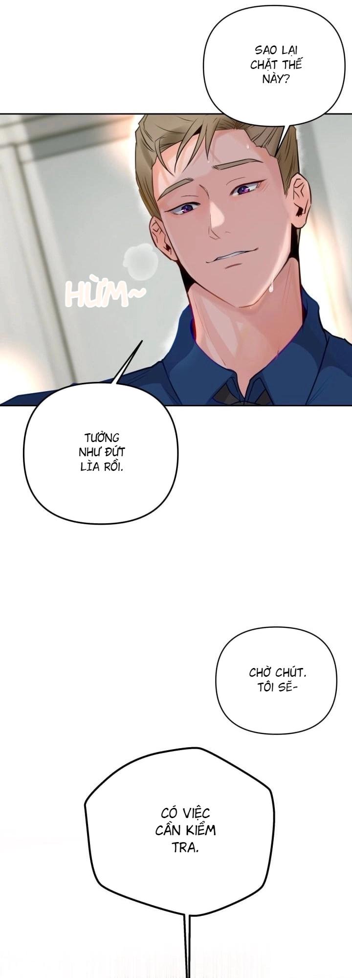 báo cáo thu thập dữ lệu về tuyến tiền liệt Chapter 4 - Next Chapter 5