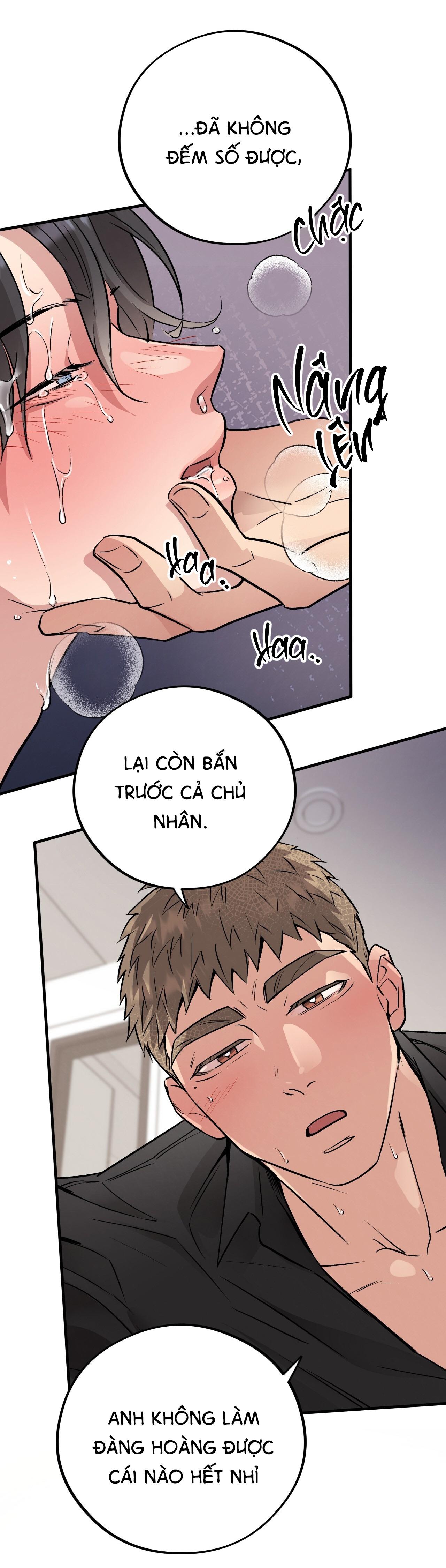 mật gấu Chapter 42 - Next Chapter 42