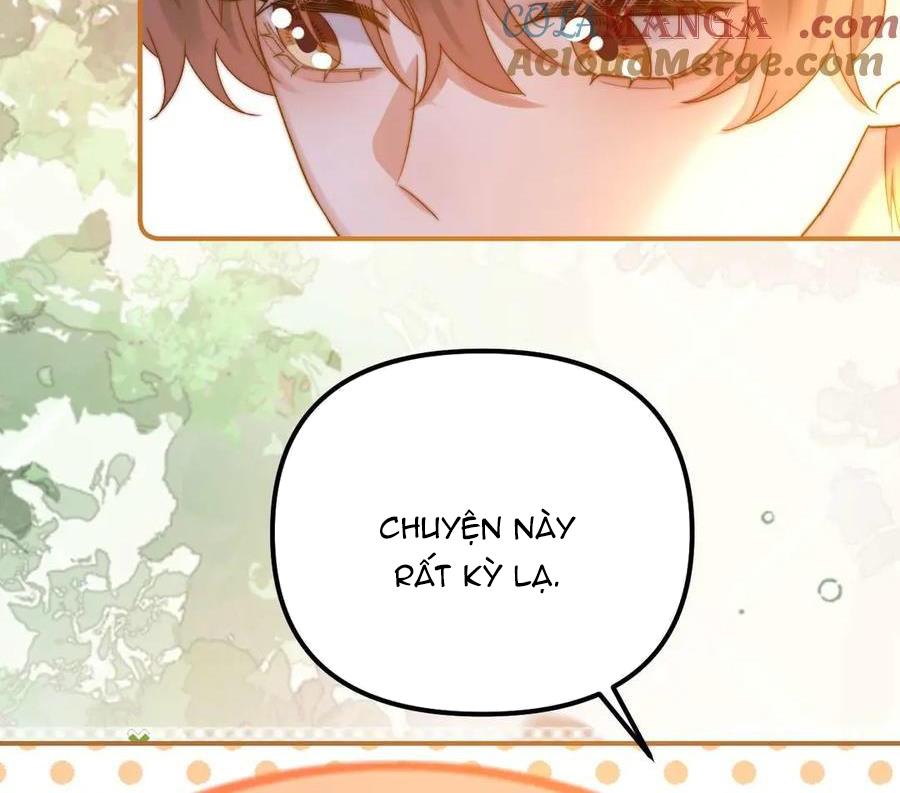 Chất Dị Ứng Đáng Yêu Chapter 76 - Next Chapter 77