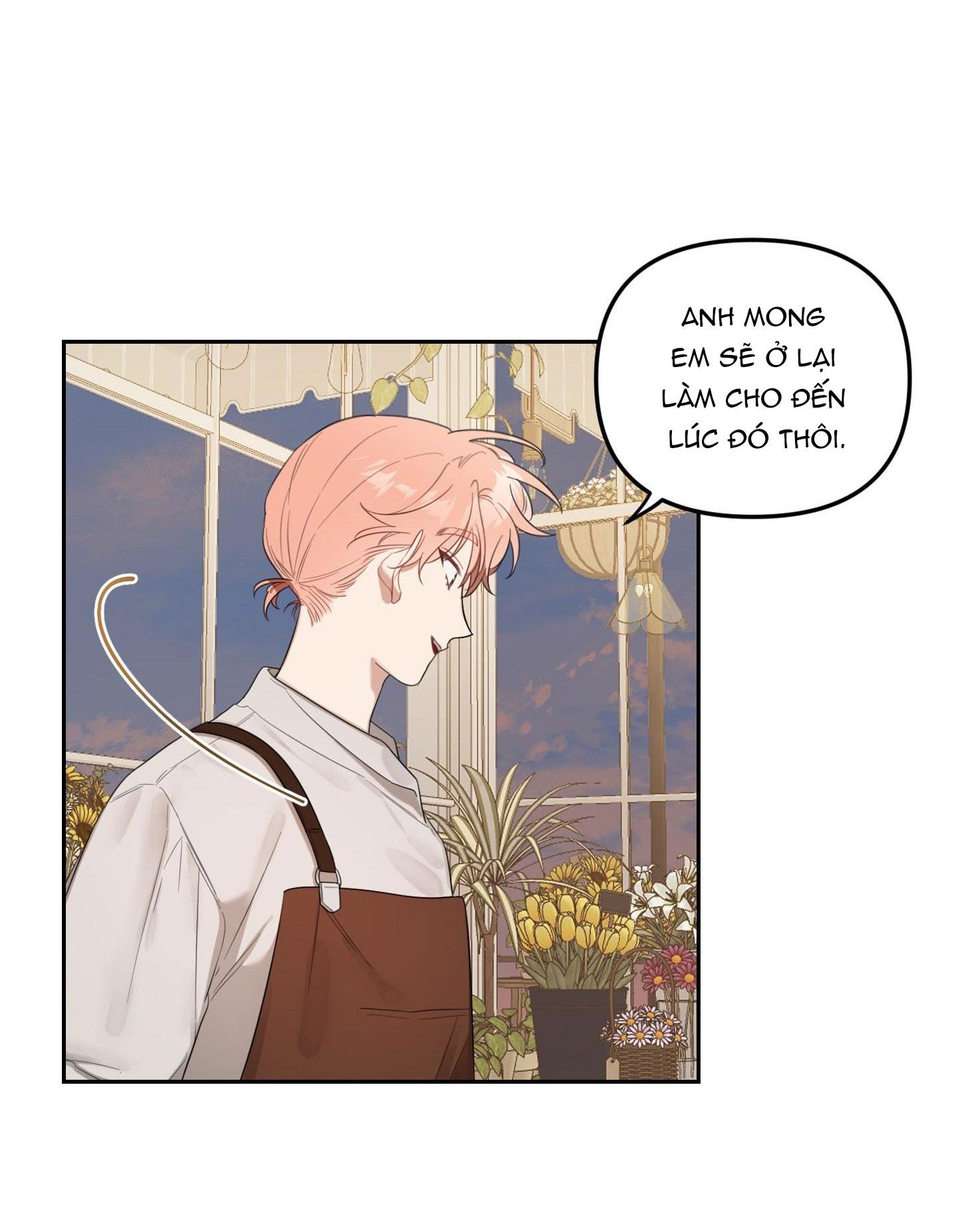 VƯỜN HOA Chapter 38 - Next Chapter 39