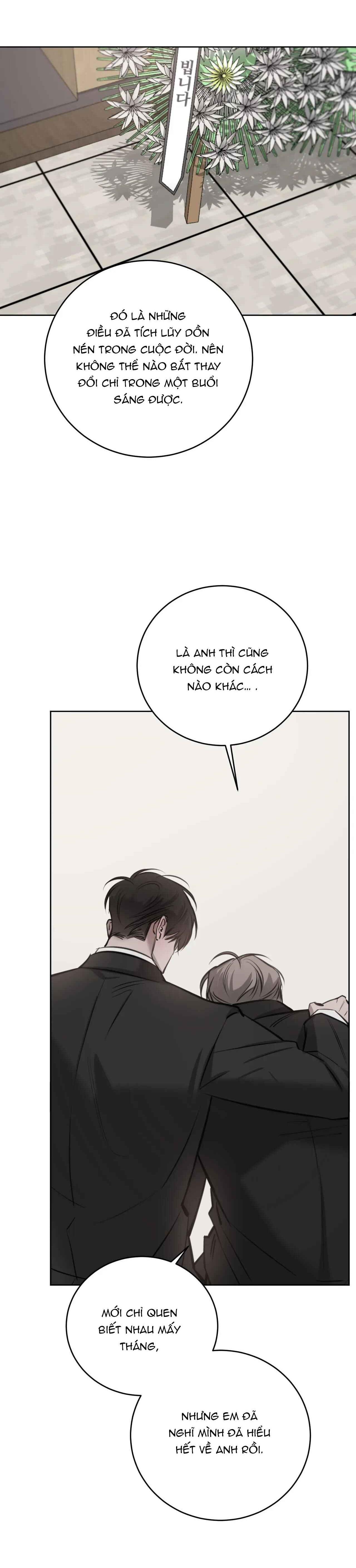 GIỮA TÌNH CỜ VÀ ĐỊNH MỆNH Chapter 67 - Next Chapter 68
