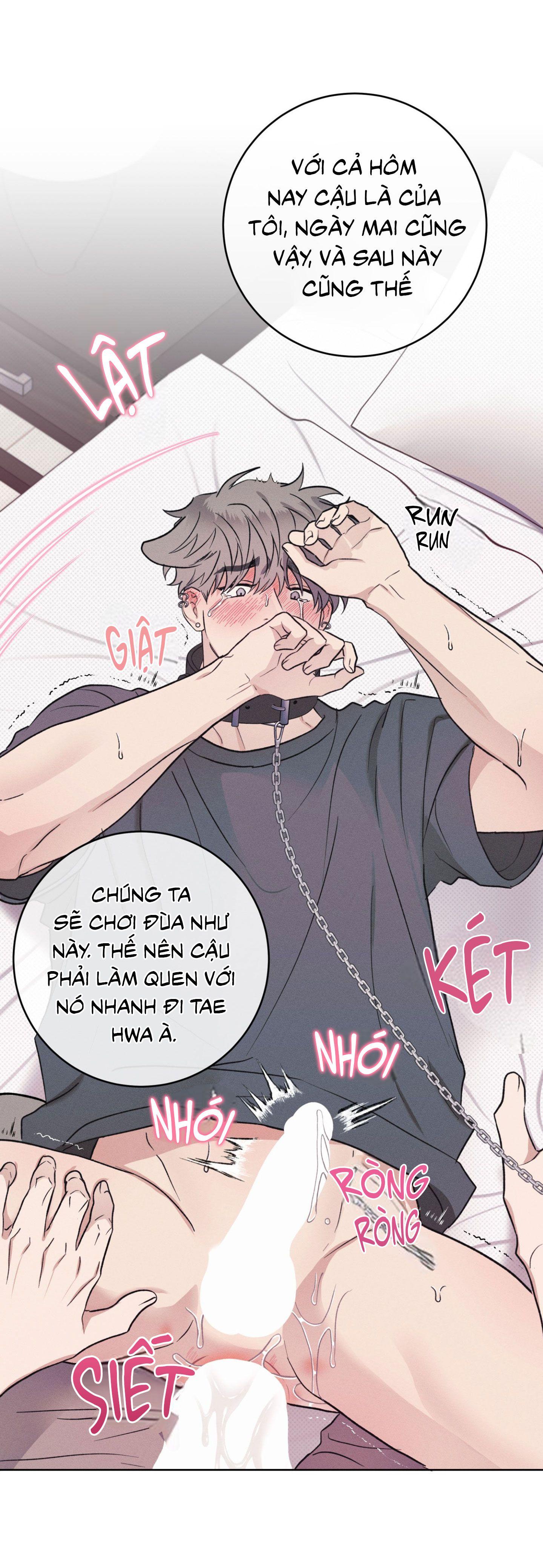 Nhật ký nuôi dưỡng sói hoang Chapter 9 - Next 