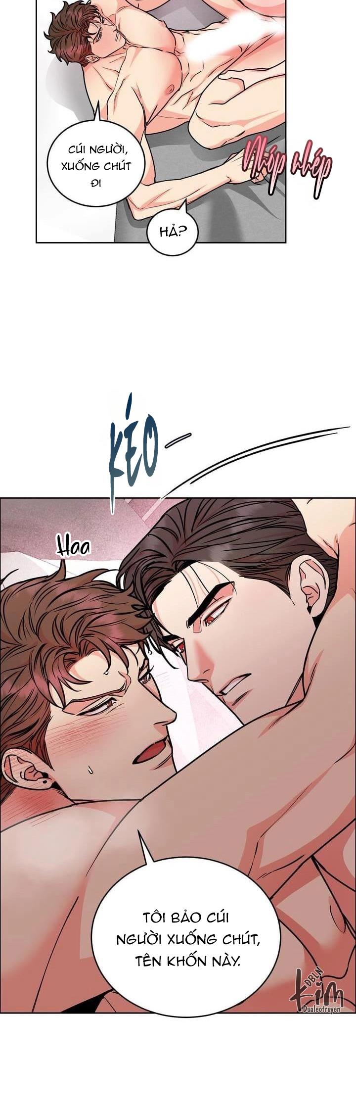 CHÓ VÀ CHIM Chapter 26 END SS1 (Thắt nút) - Next Chapter 27 ss2