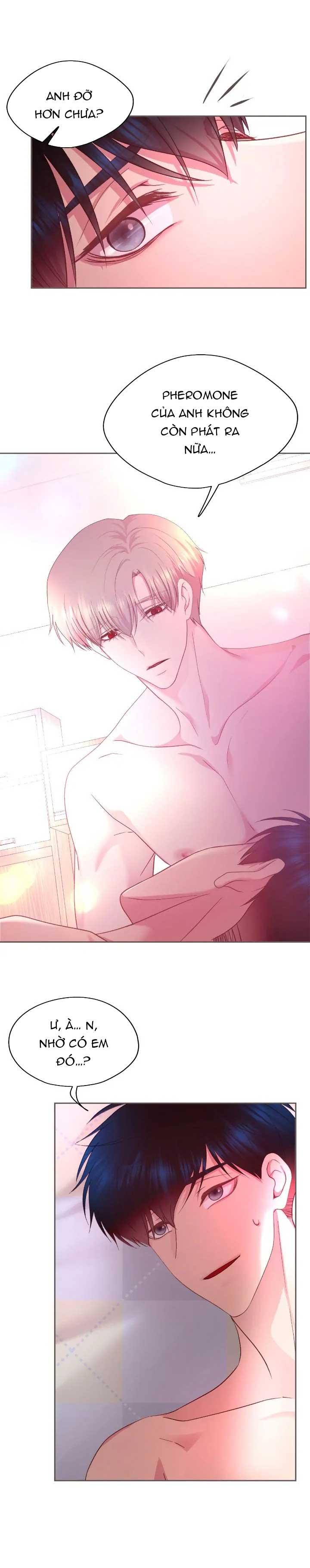 Bạn Đời Định Mệnh Chapter 13 - Next Chapter 14